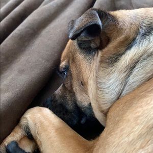 Meet your Posher, Rebecca